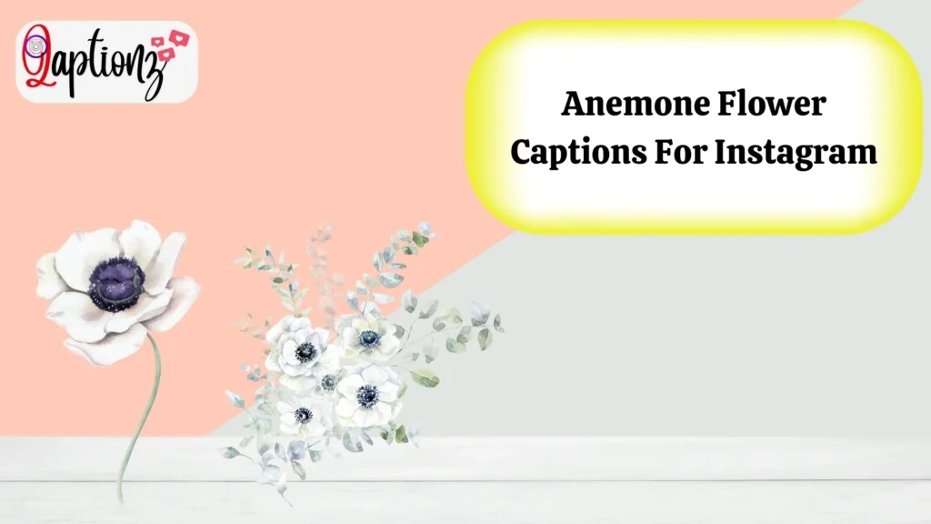 Anemone Flower Captions For Instagram