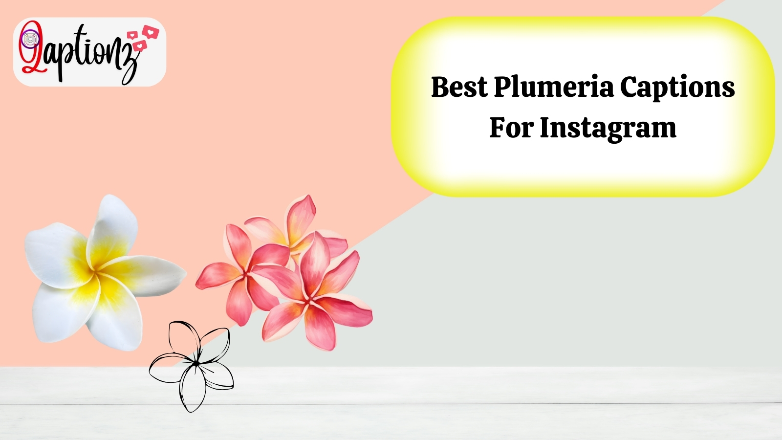 Best Plumeria Captions For Instagram