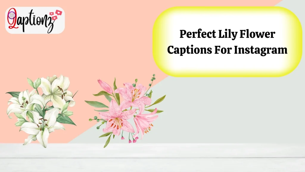 Perfect Lily Flower Captions For Instagram